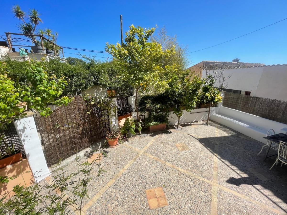 Casita Rosa Villa Palma de Mallorca Exteriör bild